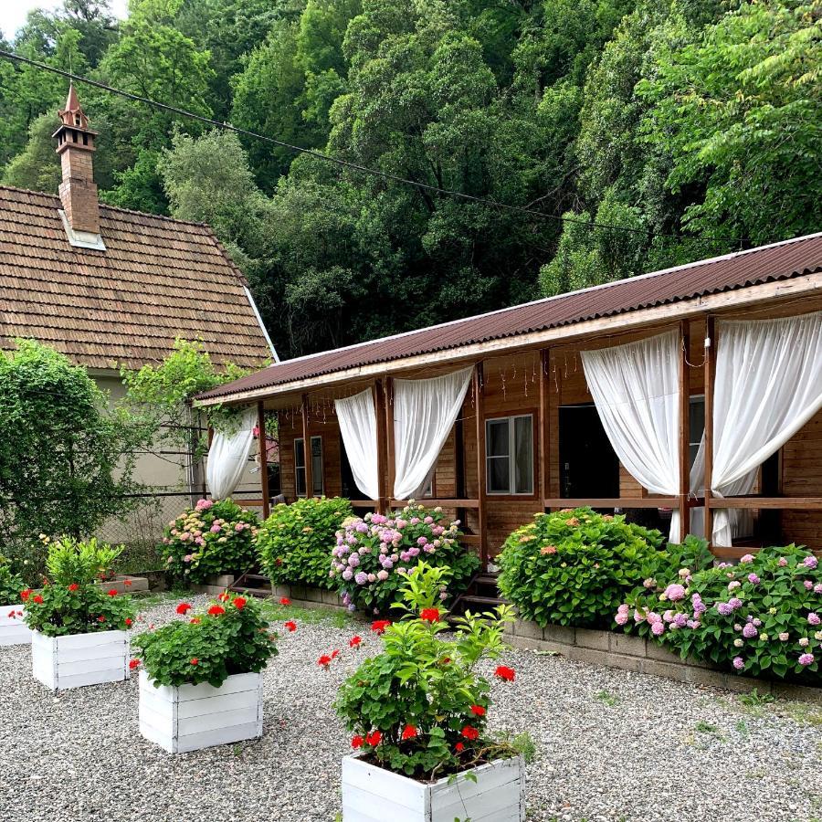 Guest House Ahan Gagra Exterior foto